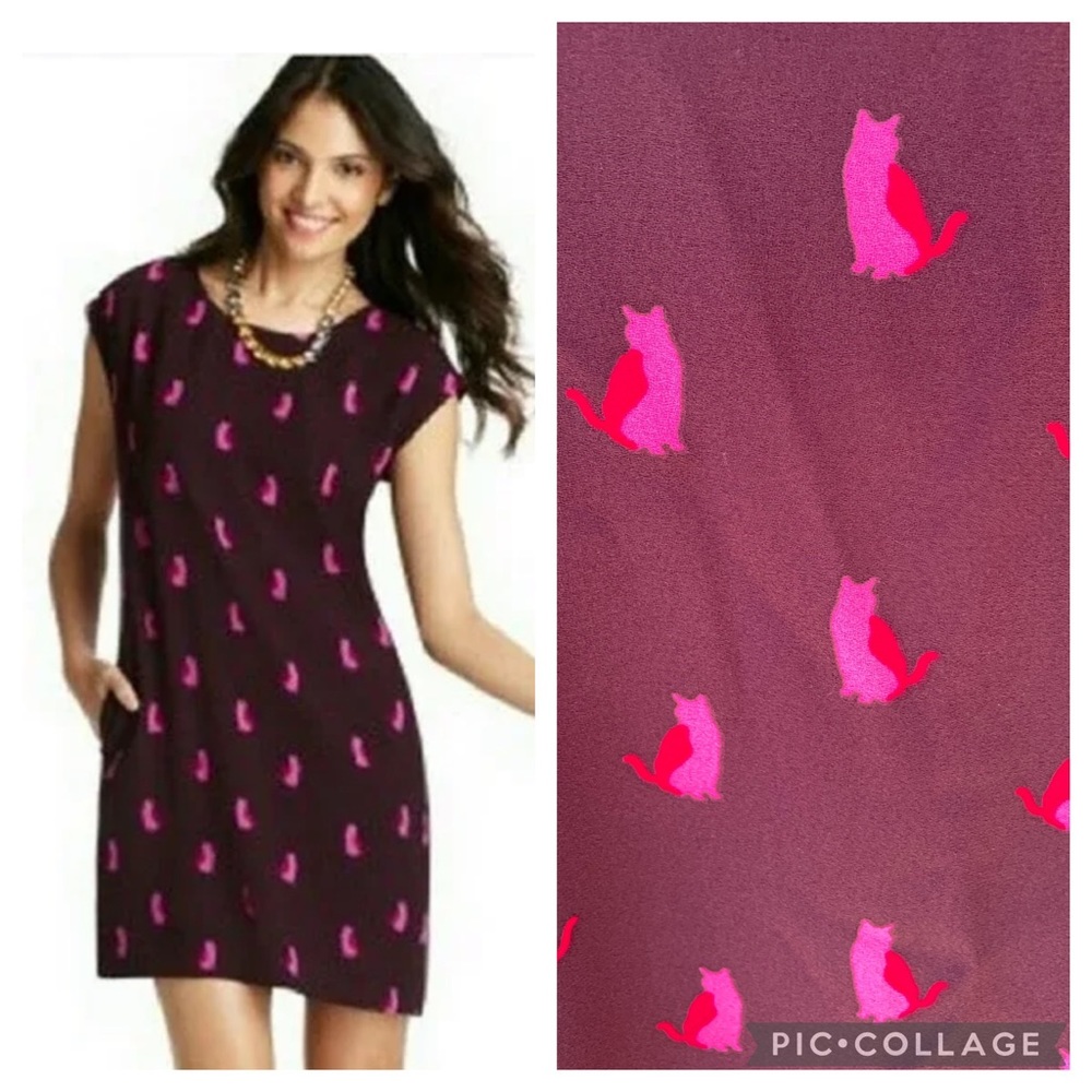 Loft kitty cat burgundy red and pink dress with pockets XS Petite